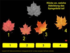 Spiegelungen-Herbstmotive.pdf